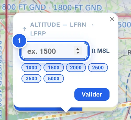 Fenêtre de saisie de l'altitude de la branche LFRN vers LFRP